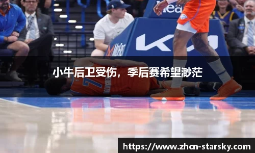 星空体育