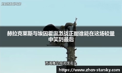 星空体育官网
