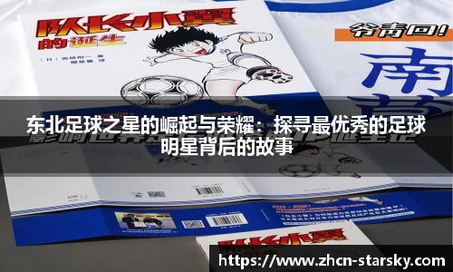 星空体育官网